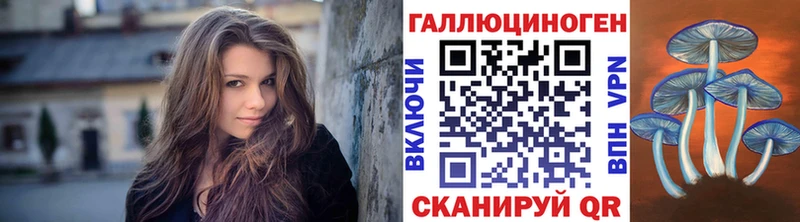 магазин    Россошь  Псилоцибиновые грибы Psilocybine cubensis 